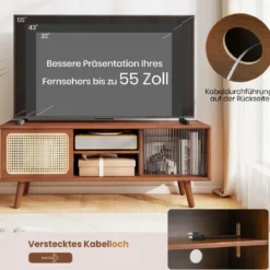 Bambus TV Schrank mit Rattan- & Glasschiebetür TV Lowboard Fernsehtisch Fernsehschrank Braun