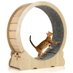101 cm Großes Katzen-Trainingsrad Katzentretmühle mit abschließbarem Mechanismus Natur