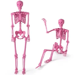 160 CM Halloween Skelett lebensgroß posierbares Skelett mit beweglichen Gelenken Halloween Dekoration Rosa
