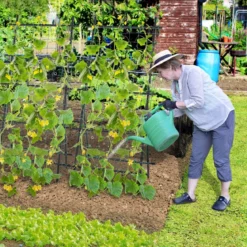 187 cm Hoher Garten-Trellis mit Netz für Gurken-Kletterpflanzen Vertikaler Pflanzenstützständer