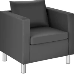 Einzelsofa Loungesessel Einzelsessel Sofagarnitur Ledersessel mit Kissen