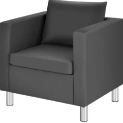 Einzelsofa Loungesessel Einzelsessel Sofagarnitur Ledersessel mit Kissen