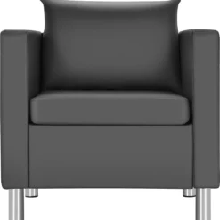 Einzelsofa Loungesessel Einzelsessel Sofagarnitur Ledersessel mit Kissen