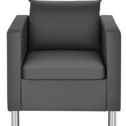 Einzelsofa Loungesessel Einzelsessel Sofagarnitur Ledersessel mit Kissen
