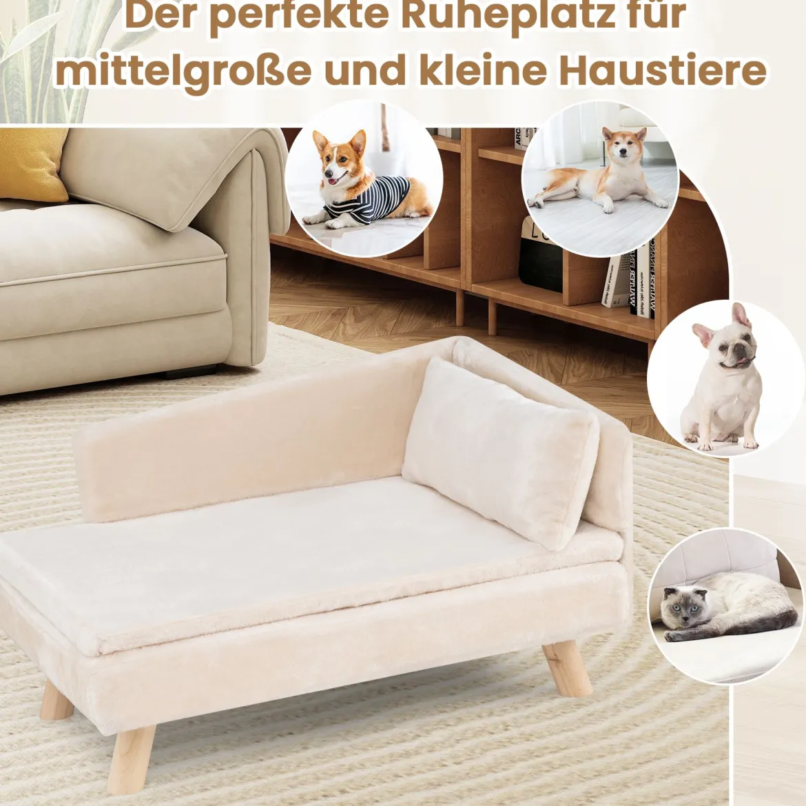 Erhöhtes Hundesofa für mittelgroße & kleine Hunde Welpen Katzen und Kätzchen Hundecouch Weiß