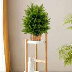 2er Set 55 cm Kunstpflanze mit Topf Zeder Buchsbaum Kunstbaum für Haus Büro Grün