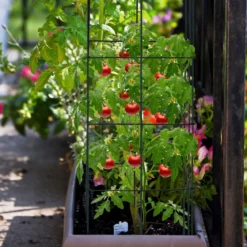 4er Set Tomaten Rankhilfe Metall Rankgitter Tomatenturm Gurkenturm Tomatenkäfig 100 cm