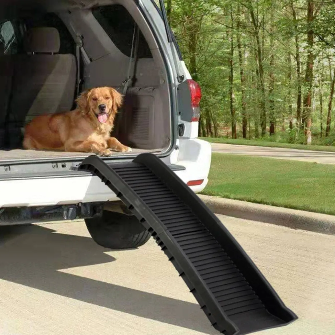 Hunderampe Einstiegshilfe Ausziehbare Hundetreppe Autorampe Tiertreppe