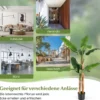 Künstlicher Bananenbaum Bananenpflanze mit 10 Blättern & natürlichem Stamm Grün 165 cm