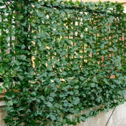 Künstliches Pflanzenwand Hecke Efeublättern Sichtschutz Heckenpflanze Outdoor & Indoor Gartenzaun 150 x 300cm