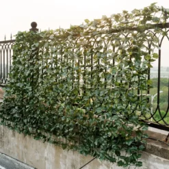Künstliches Pflanzenwand Hecke Efeublättern Sichtschutz Heckenpflanze Outdoor & Indoor Gartenzaun 150 x 300cm