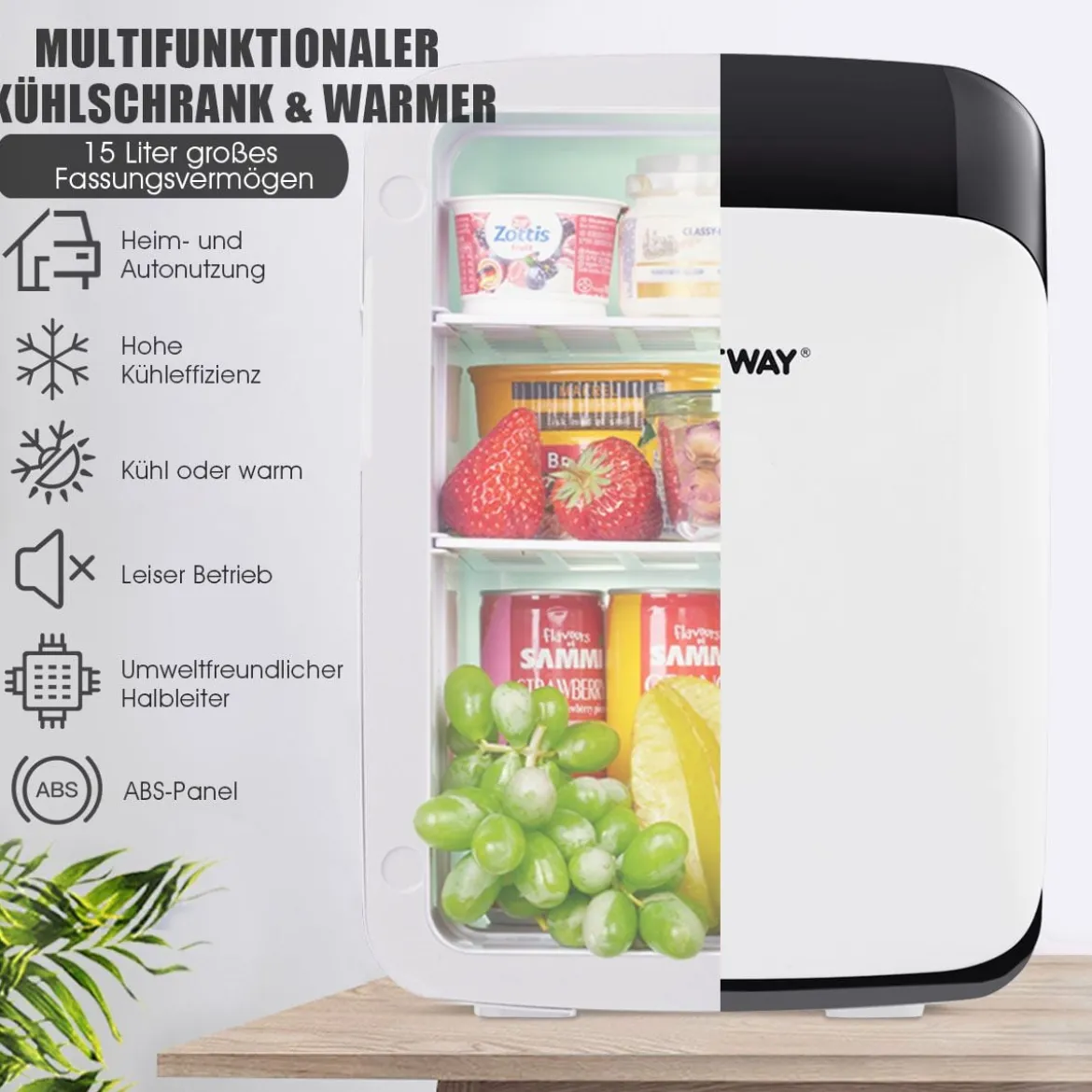 15L Mini Kühlschrank 2 in 1 Kühl- und Heizfunktion Tragbarer Kühltruhe Getränkekühler 38cm x 33cm x 27cm Weiß Energieklasse E