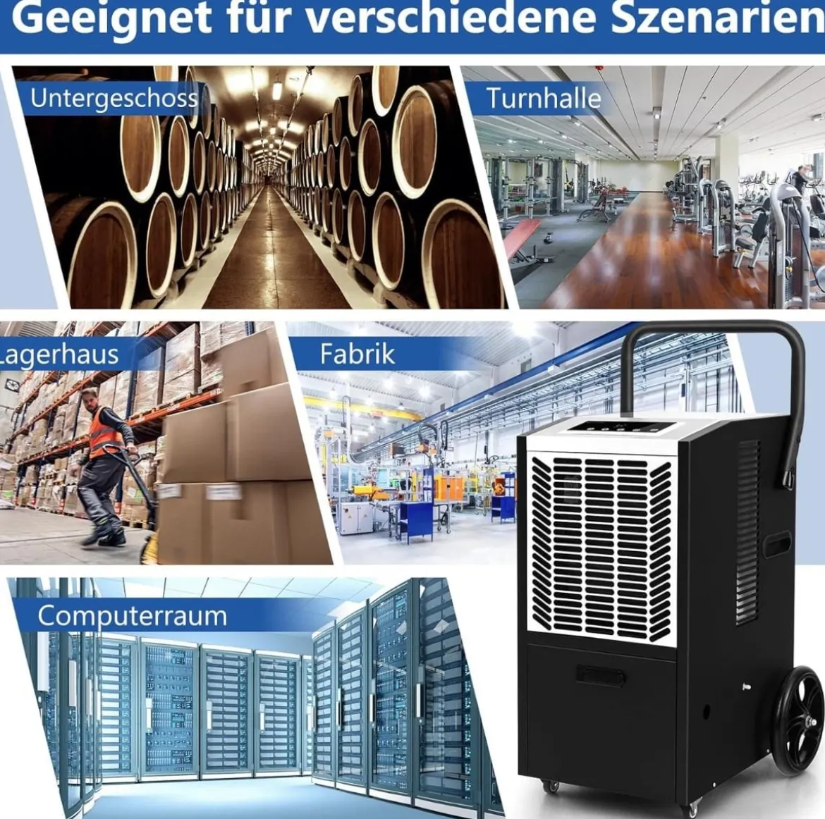 66 L/Tag Luftentfeuchter mit 24H Timer & Automatisches Abtauen & Speicherneustart