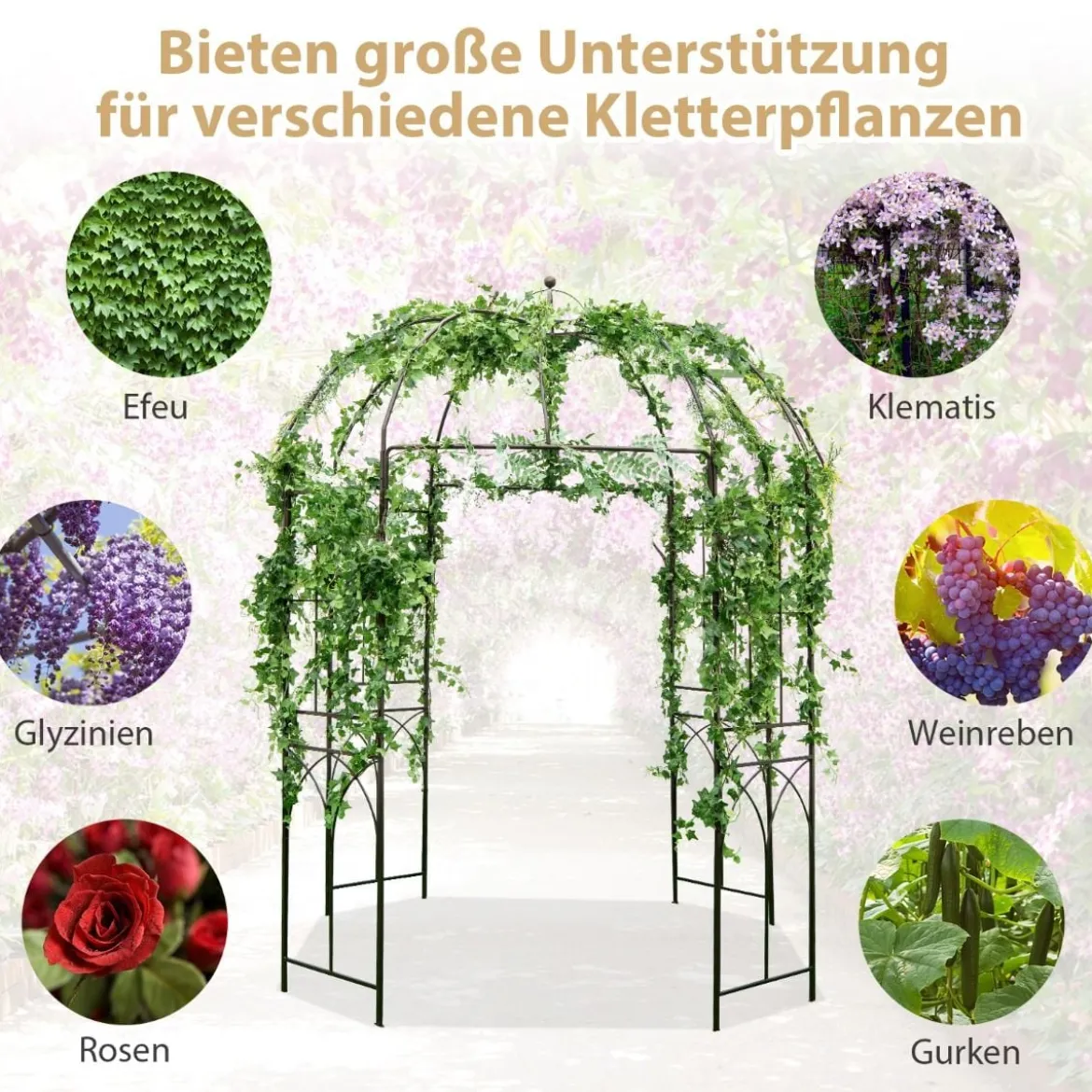 Metall Rosenbogen in Vogelkäfigform Torbogen Rankhilfe Rankgitter Gartenbogen 211 x 256 cm
