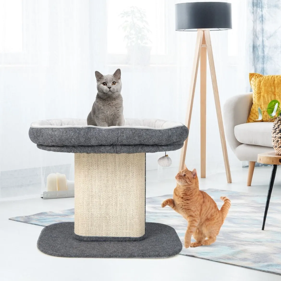 Moderner Kratzbaum Katzenmöbel mit großer Plüschsitzfläche & Sisal-Kratzplatte Grau