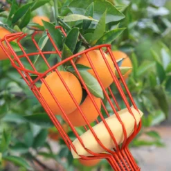 Obstpflücker mit Korb Teleskopstiel Apfelpflücker Teleskopstange Obstpflückwerkzeug Metallpflückkopf Obstfänger 145-366cm