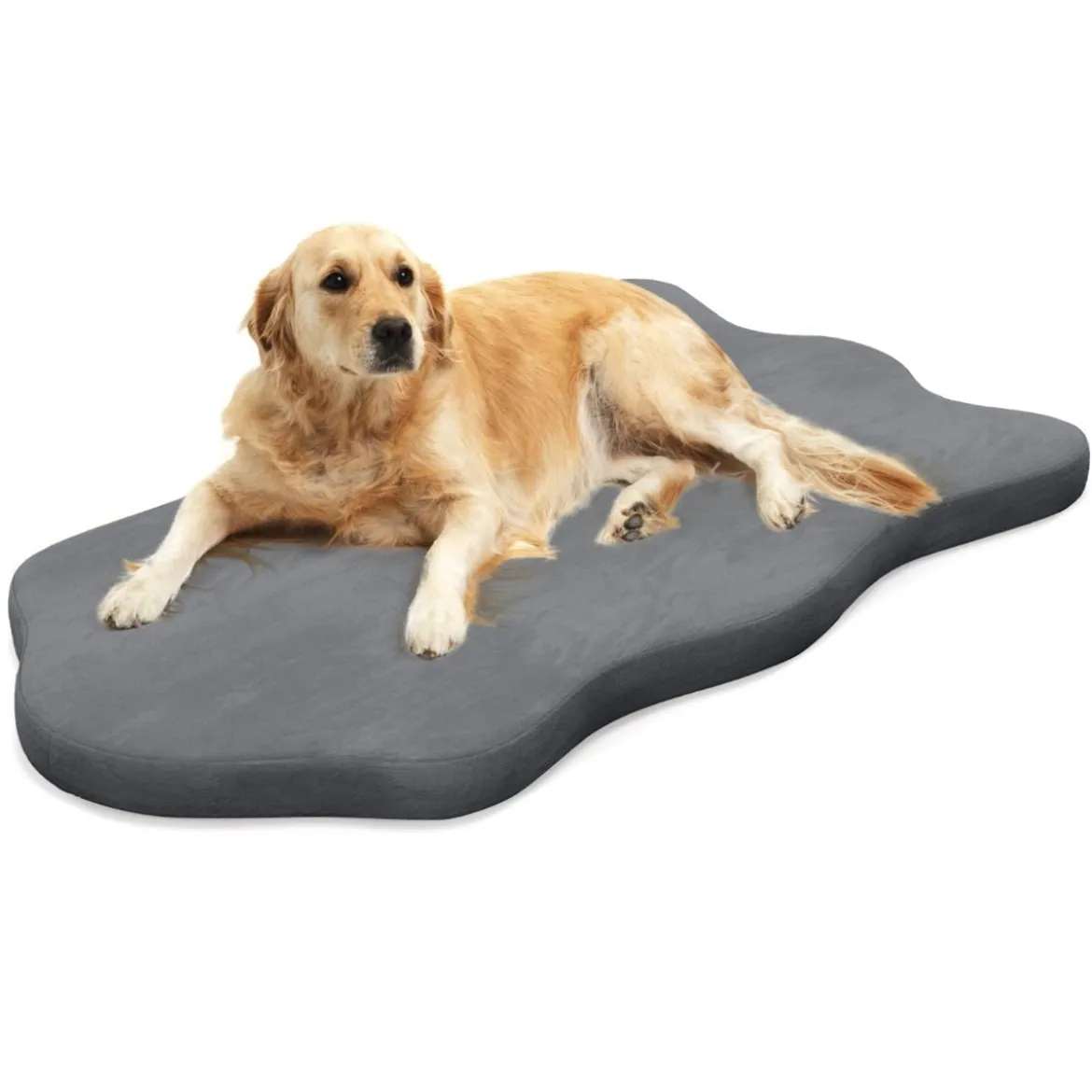 Orthopädisches Hundebett für große Hunde mit Memory-Schaum-Unterstützung & abnehmbarem Bezug Grau