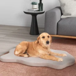 Orthopädisches Hundebett für große Hunde mit Memory-Schaum-Unterstützung & abnehmbarem Bezug Beige