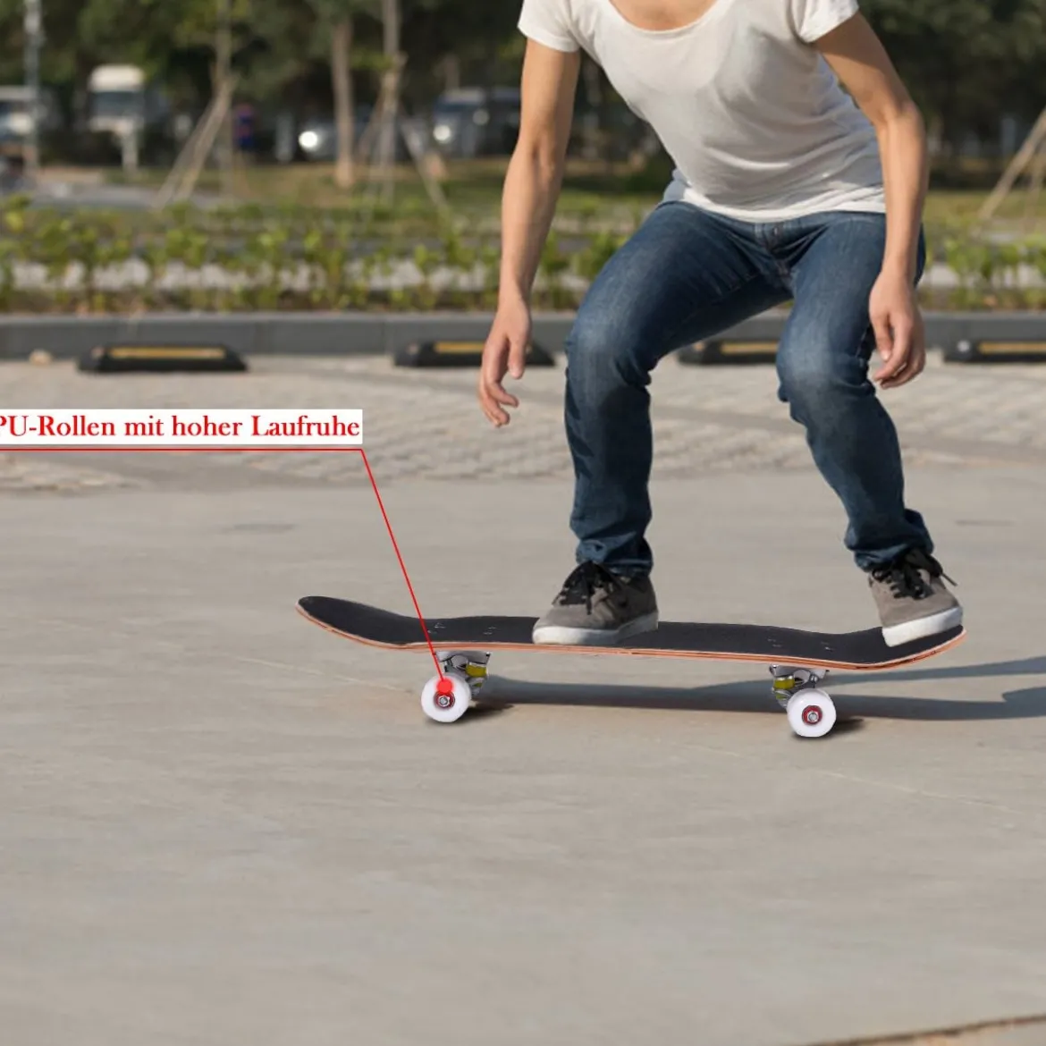 Skateboard Komplettboard Funboard Minicruiser Holzboard Longboard 20x79cm