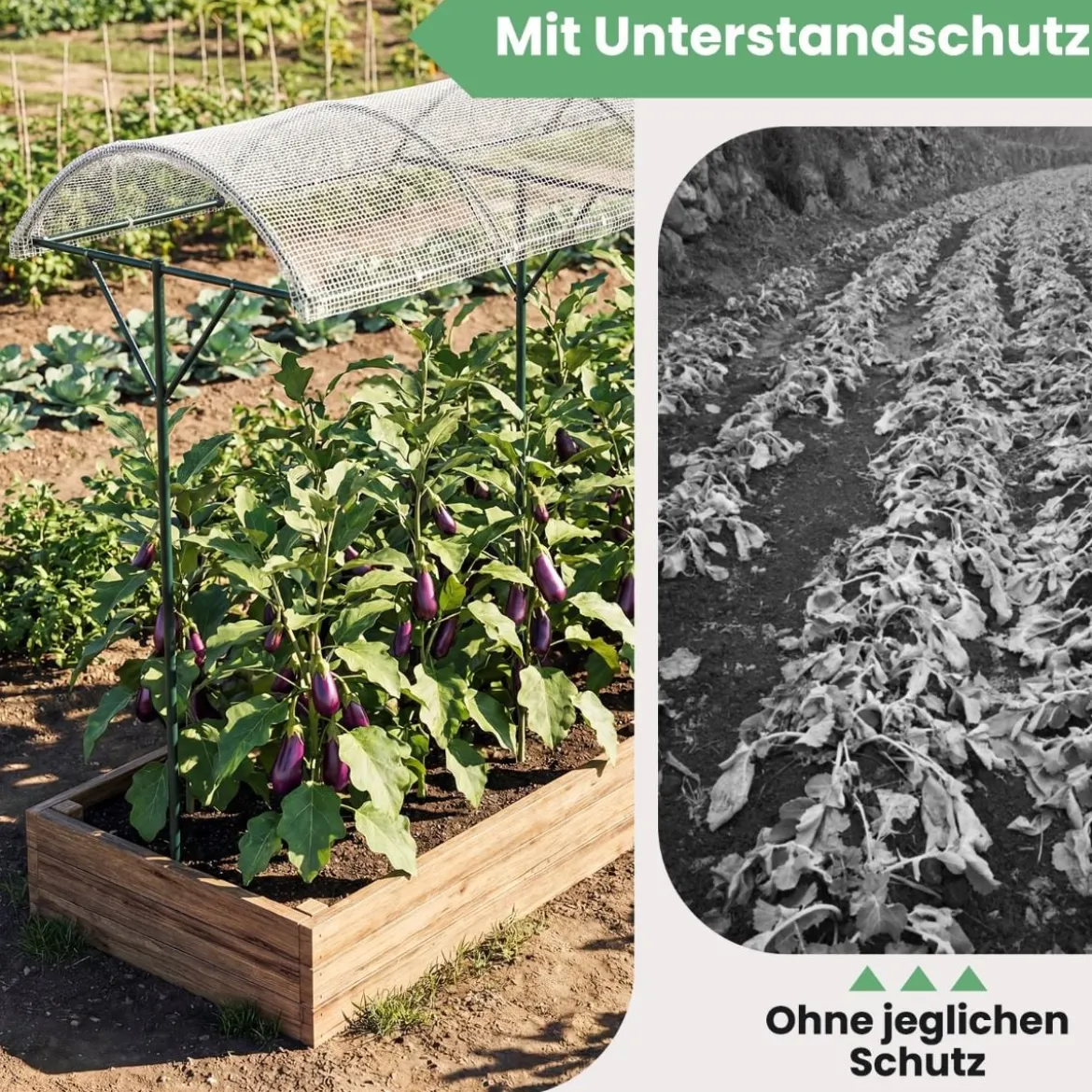 Tomatendach mit Regendichtem PE-Dach & Windseile & Bodennägel Metall Schutzdach