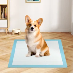 Trainingsunterlagen Hunde, Auslaufsicheres 6-lagiges Design, Welpenunterlagen Puppy-Pads (76 x 76 cm 150 Stück)