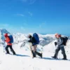 Vielseitiges Schneeschuhe-Set 53 cm ergonomische Schneeschuhe mit Doppel-Ratschenbindungssystem Silber