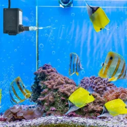30 W Mini Aquarium Pumpe mit 2,5 m Hohem Hub & 1,83 m Netzkabel & 3 Düsen Wasserpumpe 1400 L/h
