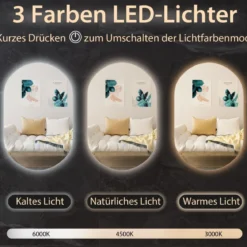 80 x 50 cm LED Wandspiegel Oval Dimmbarer Badezimmerspiegel