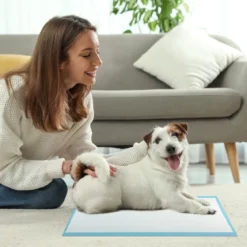 60 x 43 cm (300 Stück) 6-lagige auslaufsichere Haustierpads für Stubenreinheitstraining super absorbierend