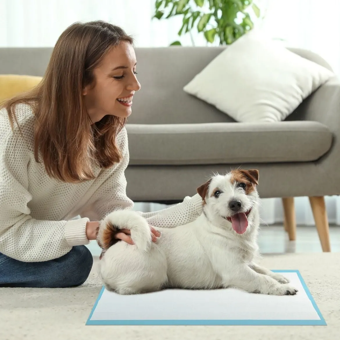 60 x 43 cm (300 Stück) 6-lagige auslaufsichere Haustierpads für Stubenreinheitstraining super absorbierend